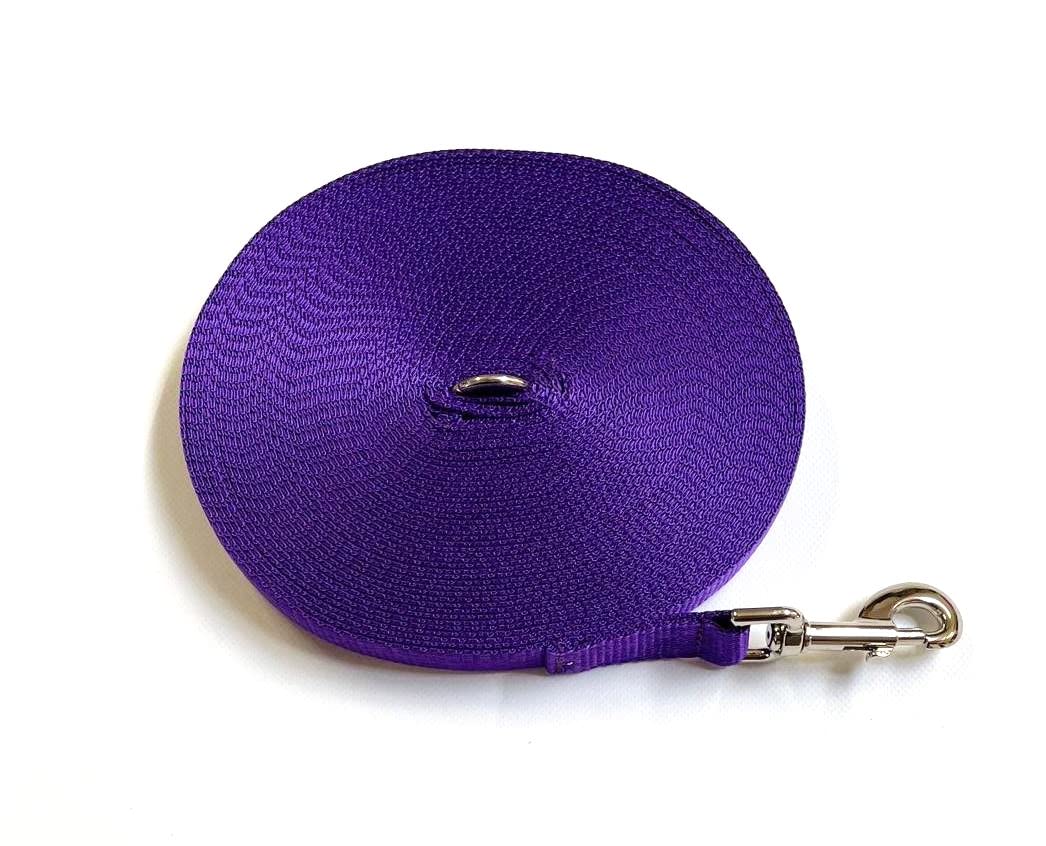 Dog Training Lead 50ft 15 Metre Leash Horse Lunge Line Tracking Recall Obedience In 25mm Polypropylene Webbing (Purple)