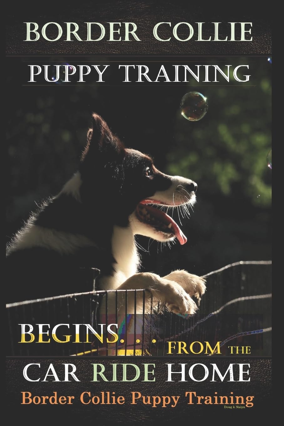 Border Collie Puppy Training Begins. . . From the Car Ride Home: Border Collie Puppy Training: 1