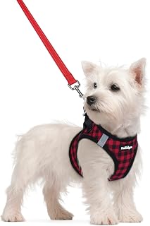 rabbitgoo Dog Harness Small Sized and Leash Set, Step-in Puppy Pet Vest