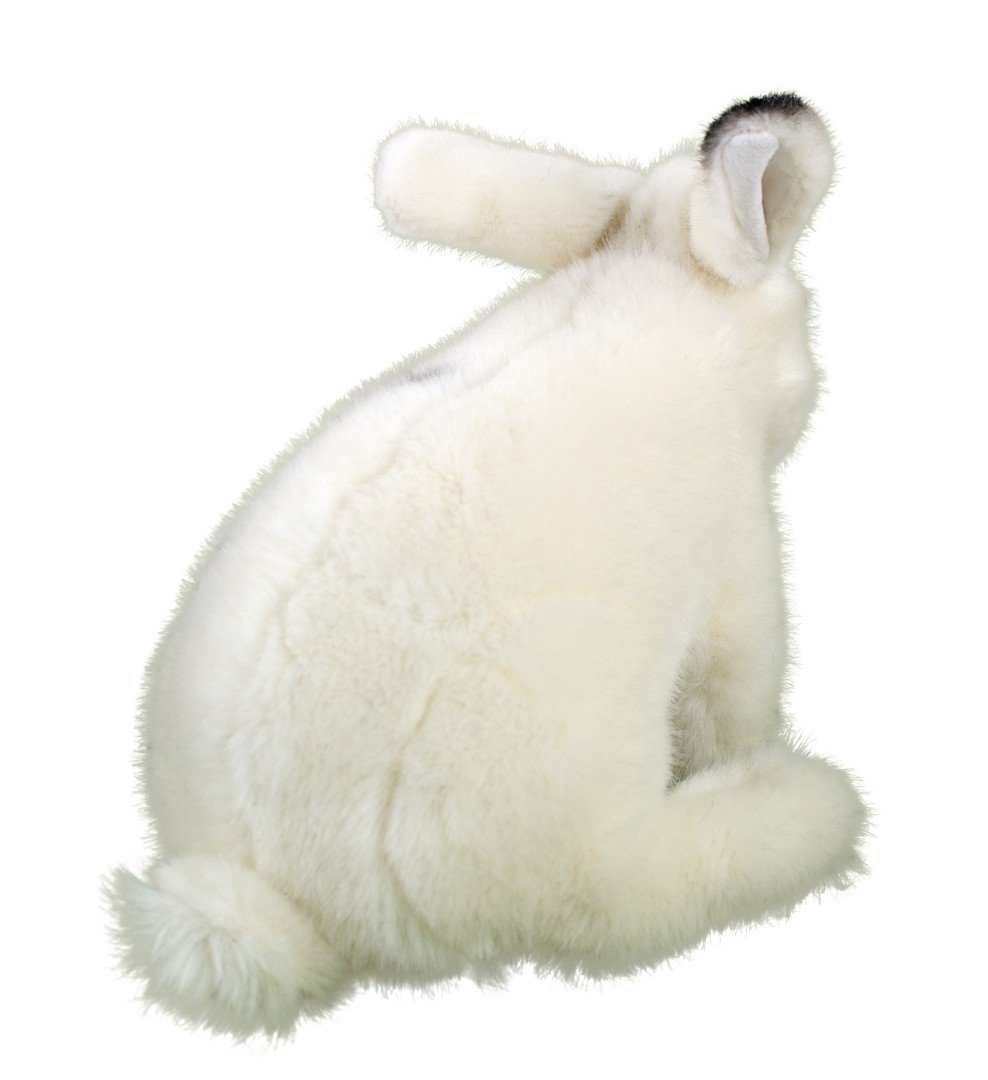 Amazon.co.jp: うさぎ 白 KOSEN(ケーセン社) 24cm 