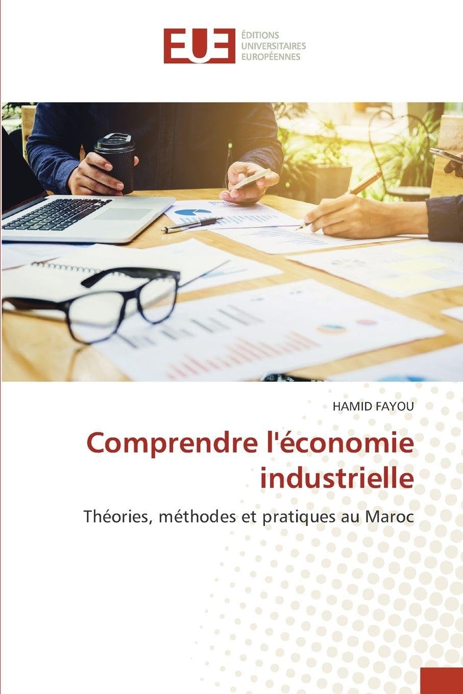 Comprendre l'économie industrielle: Théories, méthodes et pratiques au Maroc