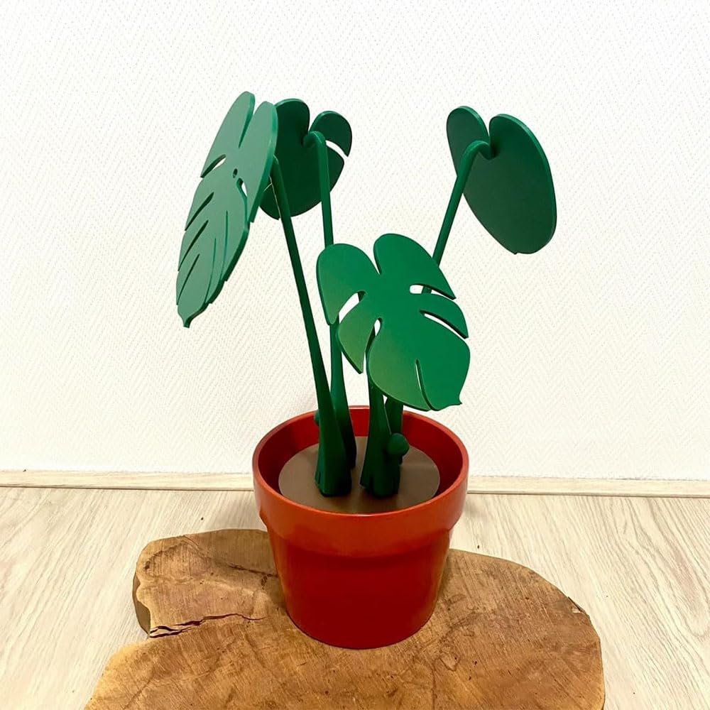 monstera adansonii for sale Monstera Adansonii – Plant Shop GR main image 1