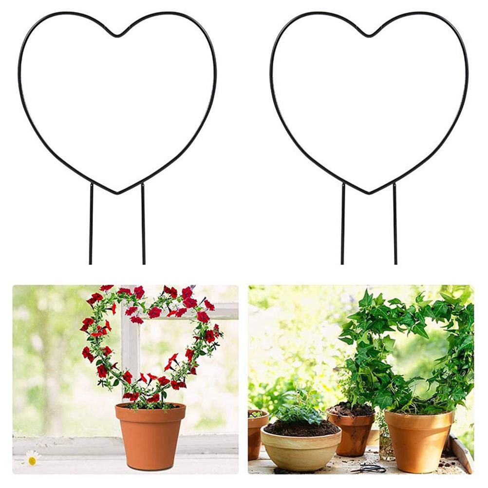 Amazon | Vanow 園芸支柱*2 32cm*23cm ハート型支柱 観葉用 DIY 植物