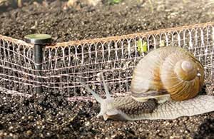 Schneckenzaun mit Kupfer, Schneckenabwehr Amazon.de Garten