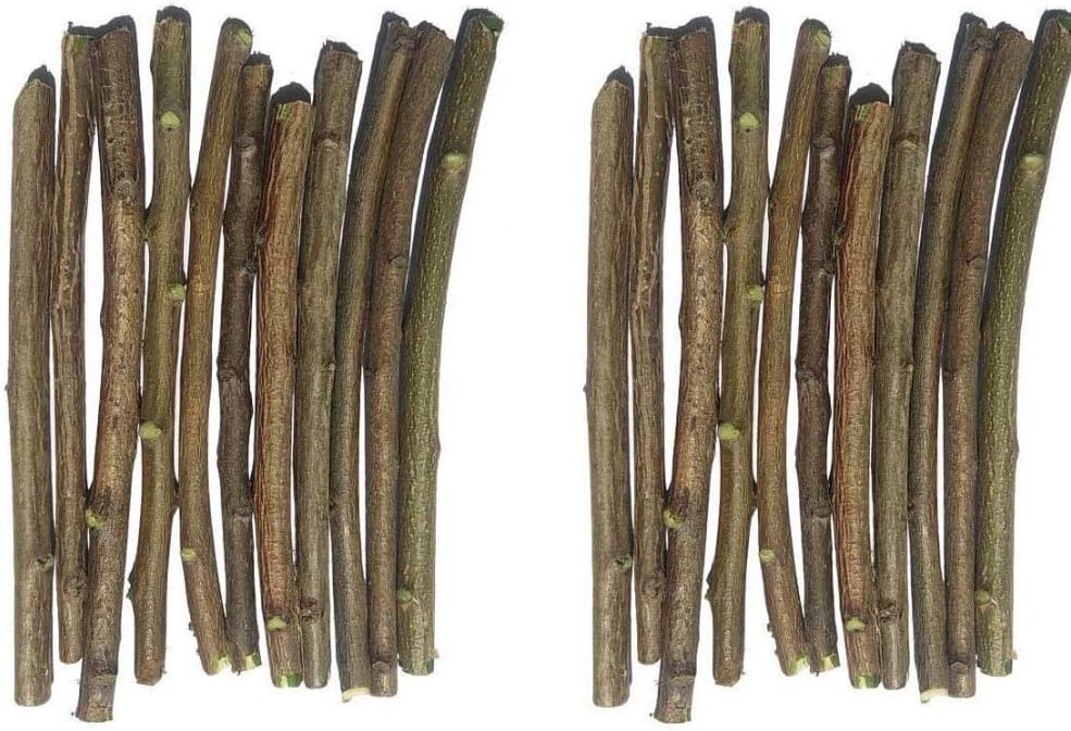 Shree Ram Enterprise Pack of 40 Pieces Ayurvedic Natural Organic Neem Datun (Moti Datun) Organic Toothbrush Nim Tree Twigs Chew Sticks for Brushing Teeth Removes Bad Breath, Toothpaste