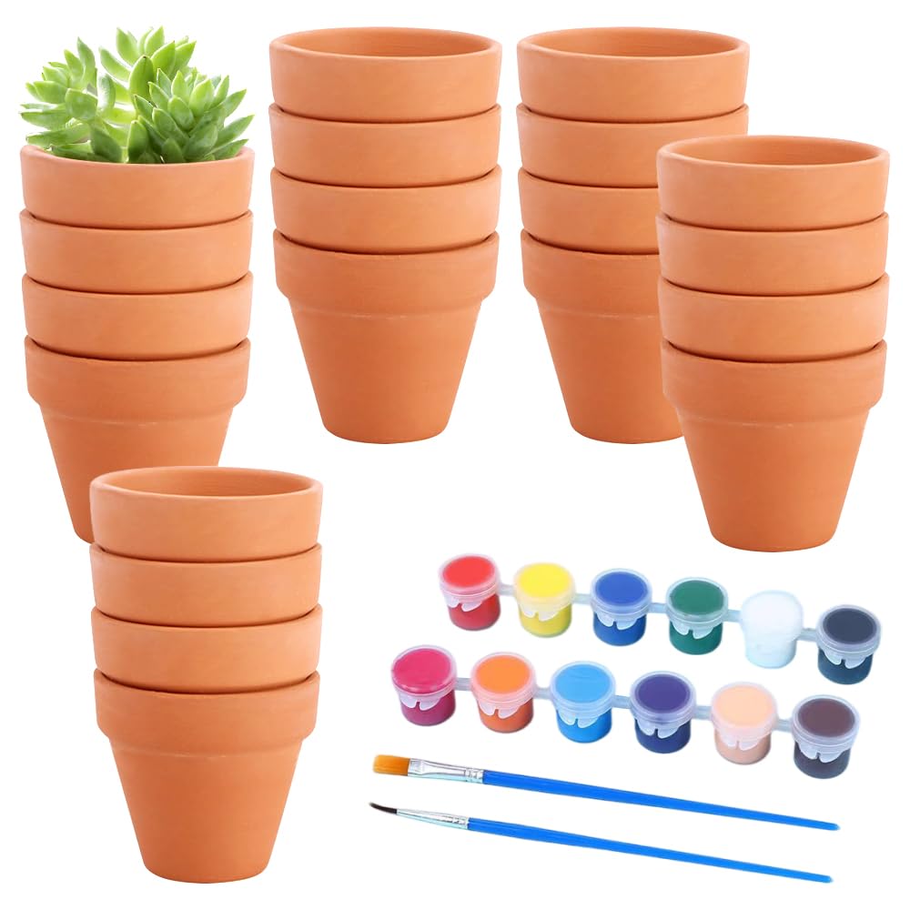 Celepoir Terrakotta-Blumentöpfe Set – 20 Stück, 5,5x5 Cm, Mit Farben & Pinseln – Für Sukkulenten, Mit Drainageloch