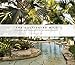 The Cultivated Wild: Gardens and Landscapes by Raymond Jungles
