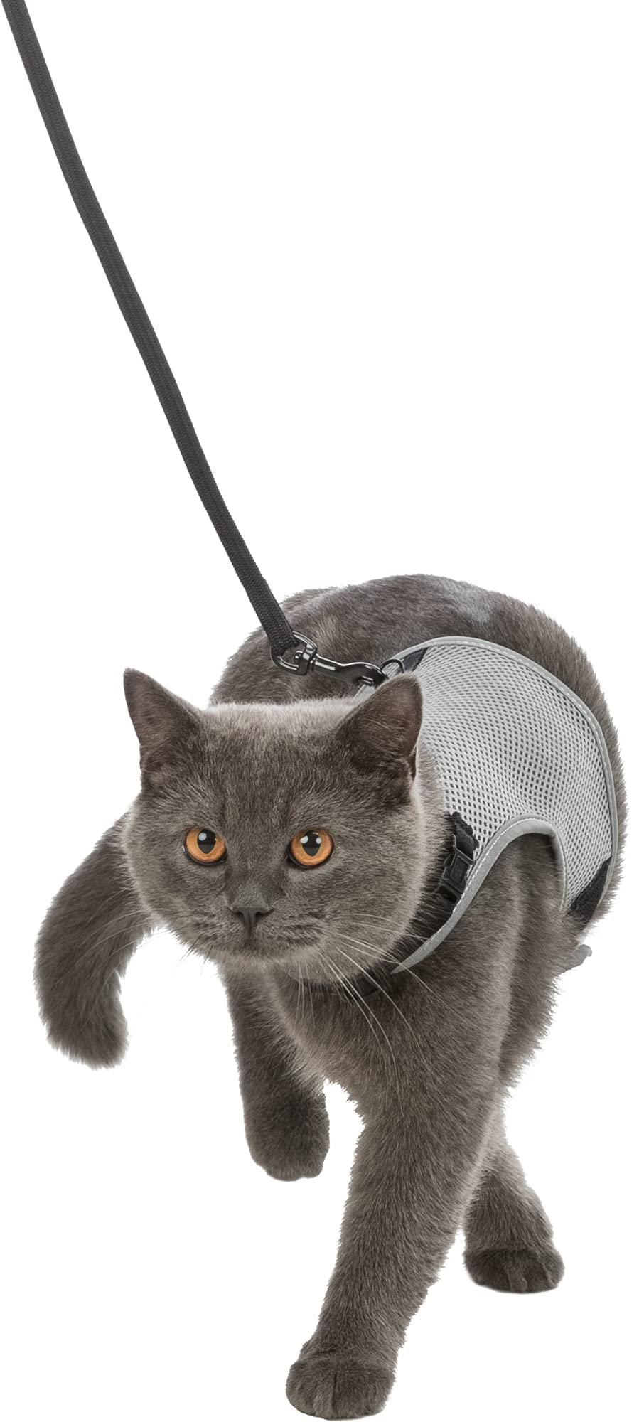 Trixie Soft Cat Harness with Leash, Adjustable Mesh Design, Reflective, Elastic Leash, Safe & Comfortable, Fits Chest 24-42 cm, (Multicolor, Get Any 1 Random Color) (B09NDYP7RC) Amazon Price History, Amazon Price Tracker