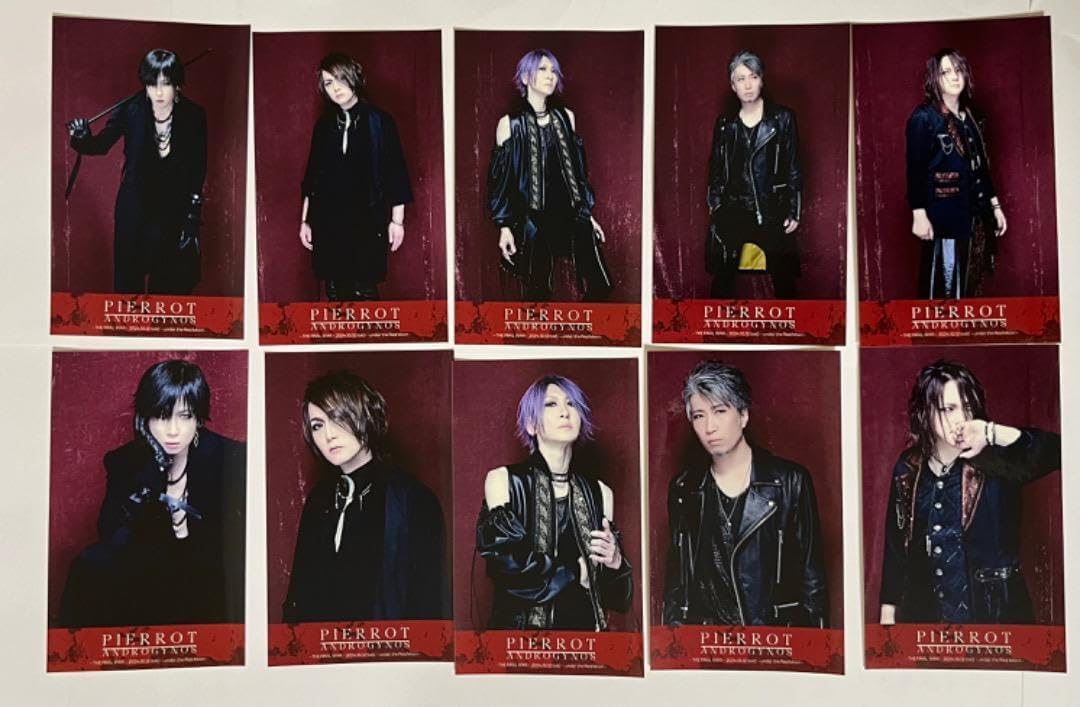 プロ用カーブセニングシザーブレンダーブレンディングトリミングペット