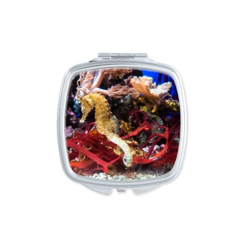 Miroir compact carré hippocampus, l'accessoire de votre sac à main