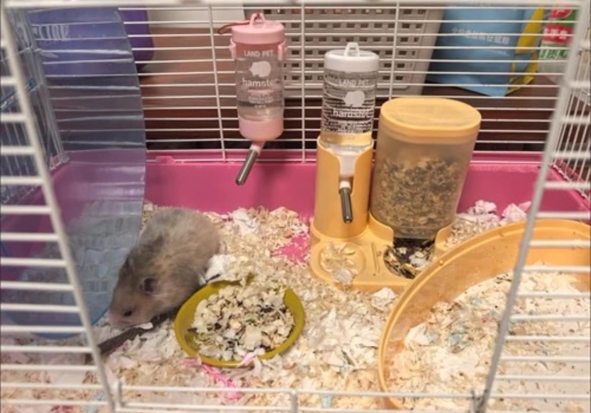 Gourde étanche pour hamster et distributeur automatique de nourriture, distributeur de nourriture transparent avec buse en acier inoxydable, facile à nettoyer (jaune)