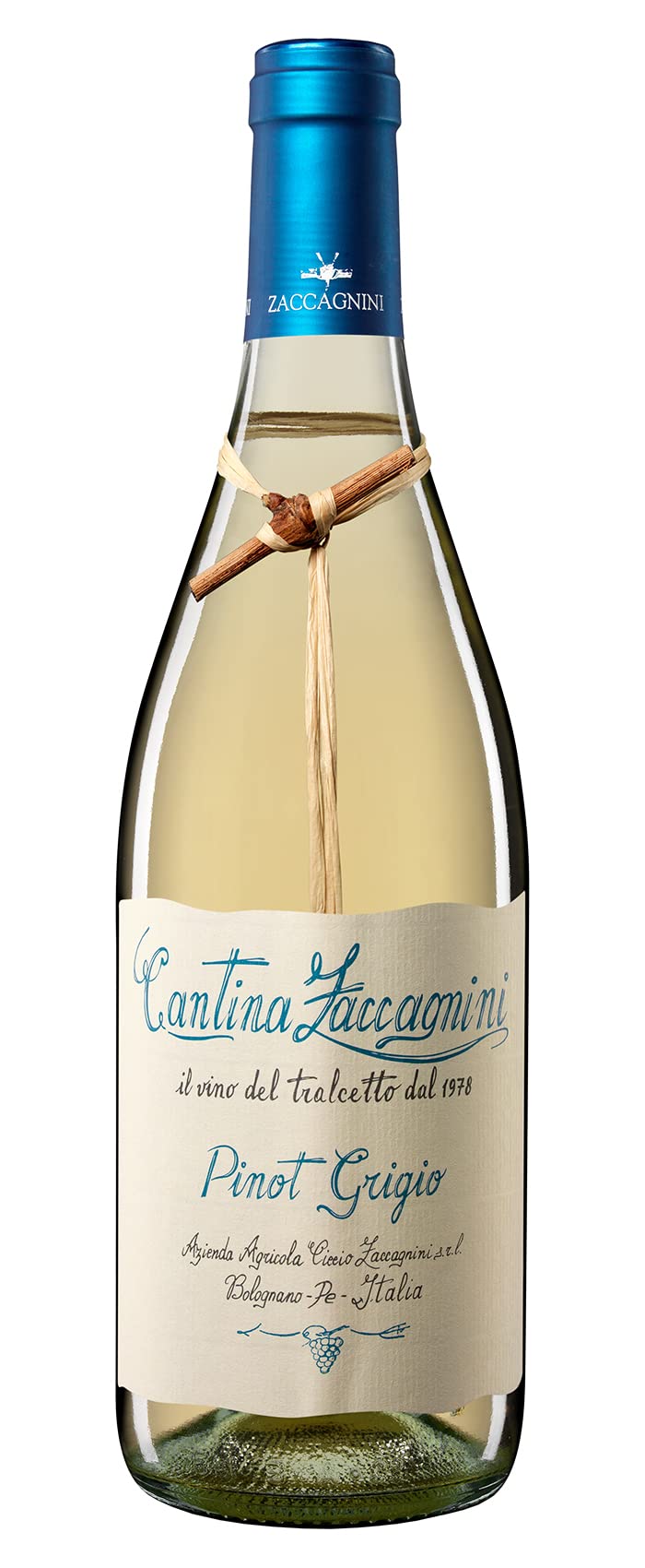 Zaccagnini Pinot Grigio IGT Trocken (1 x 0.75l)