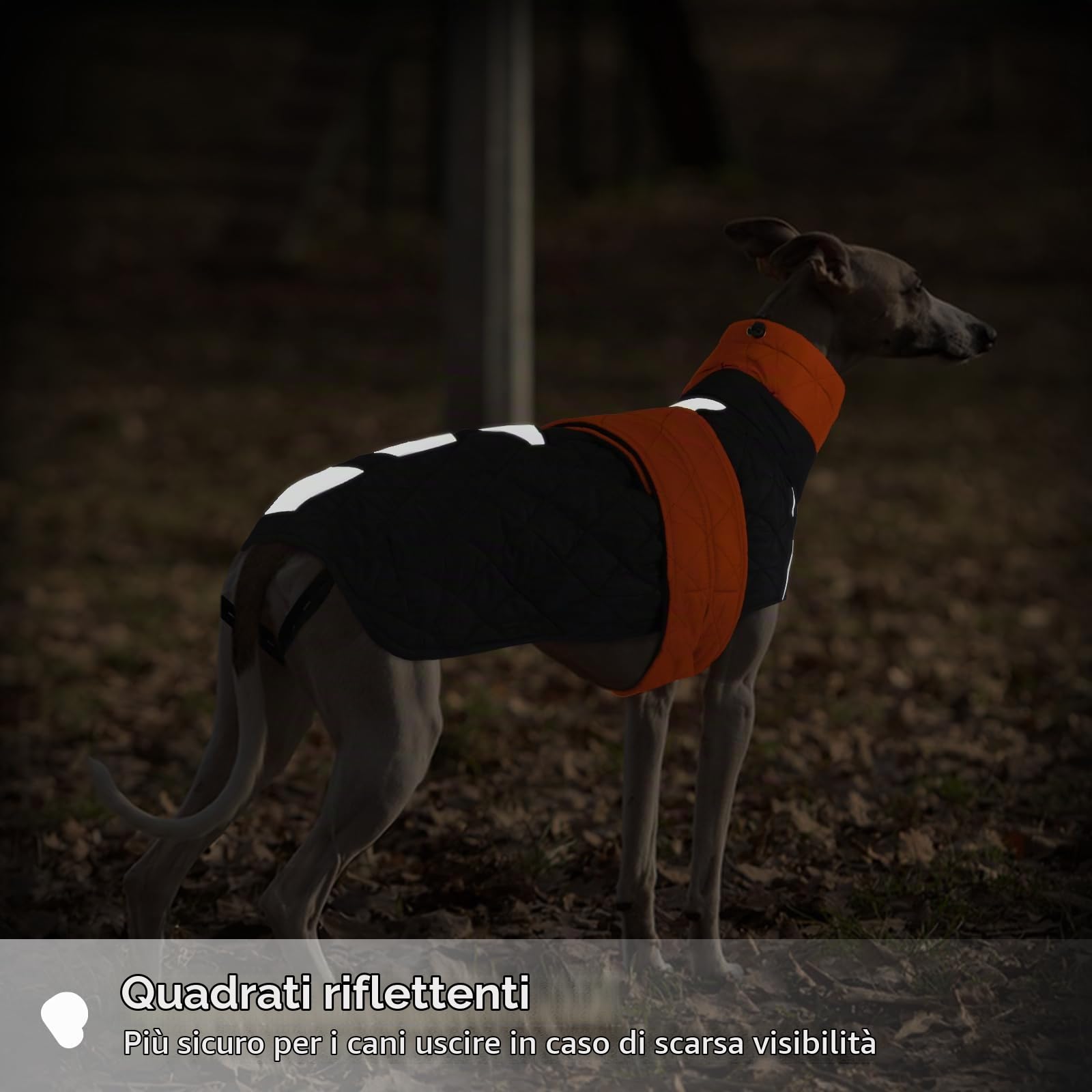 Cappotto Lurchers Invernale, Giacca Impermeabile Levrieri Giacca Calda Cani Piumino Cani Cappottino Imbottito Cani