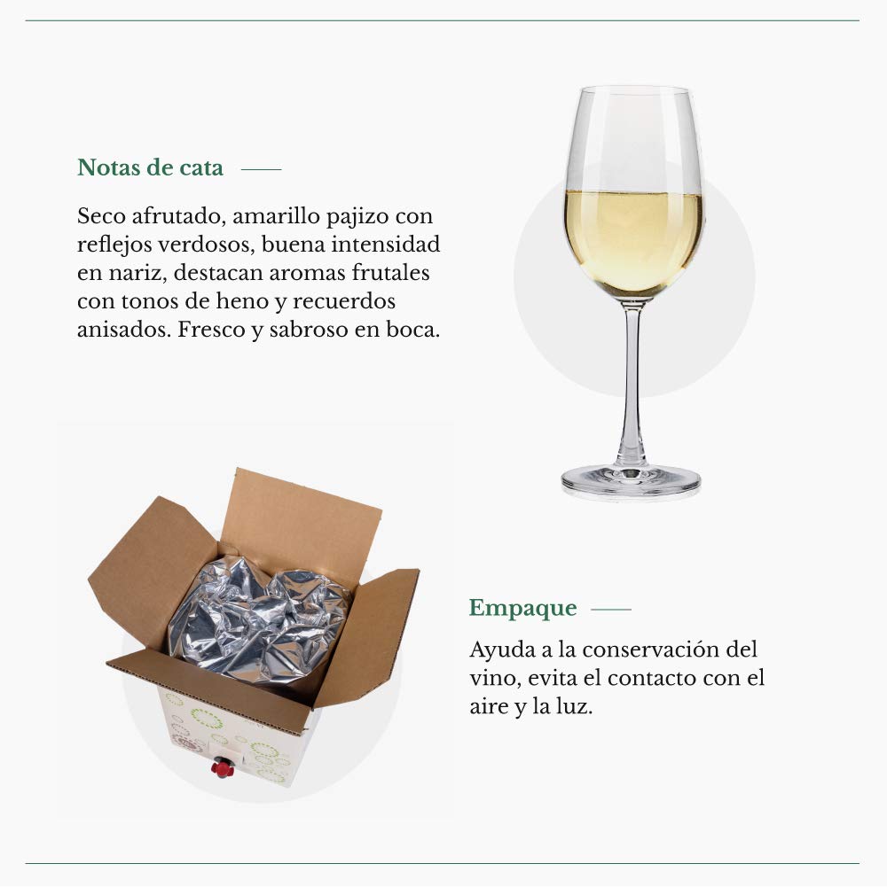 Bag in Box 5L vino blanco verdejo 5 Litros afrutado seco caja de vino blanco con grifo Verdejo Paz VI | Bodega Los Corzos