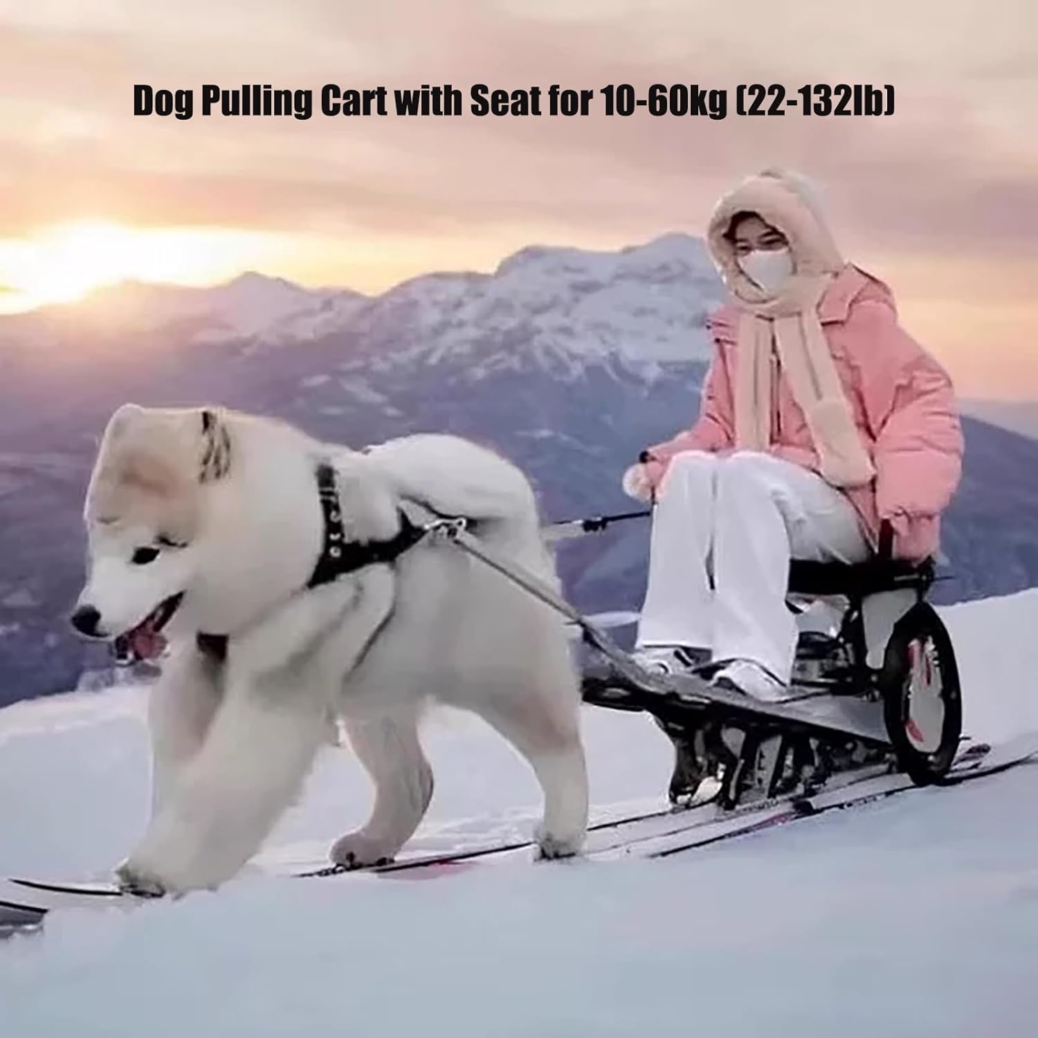 Unleash Adventure: The Ultimate Dog Pulling Cart for Active Pet Owners!