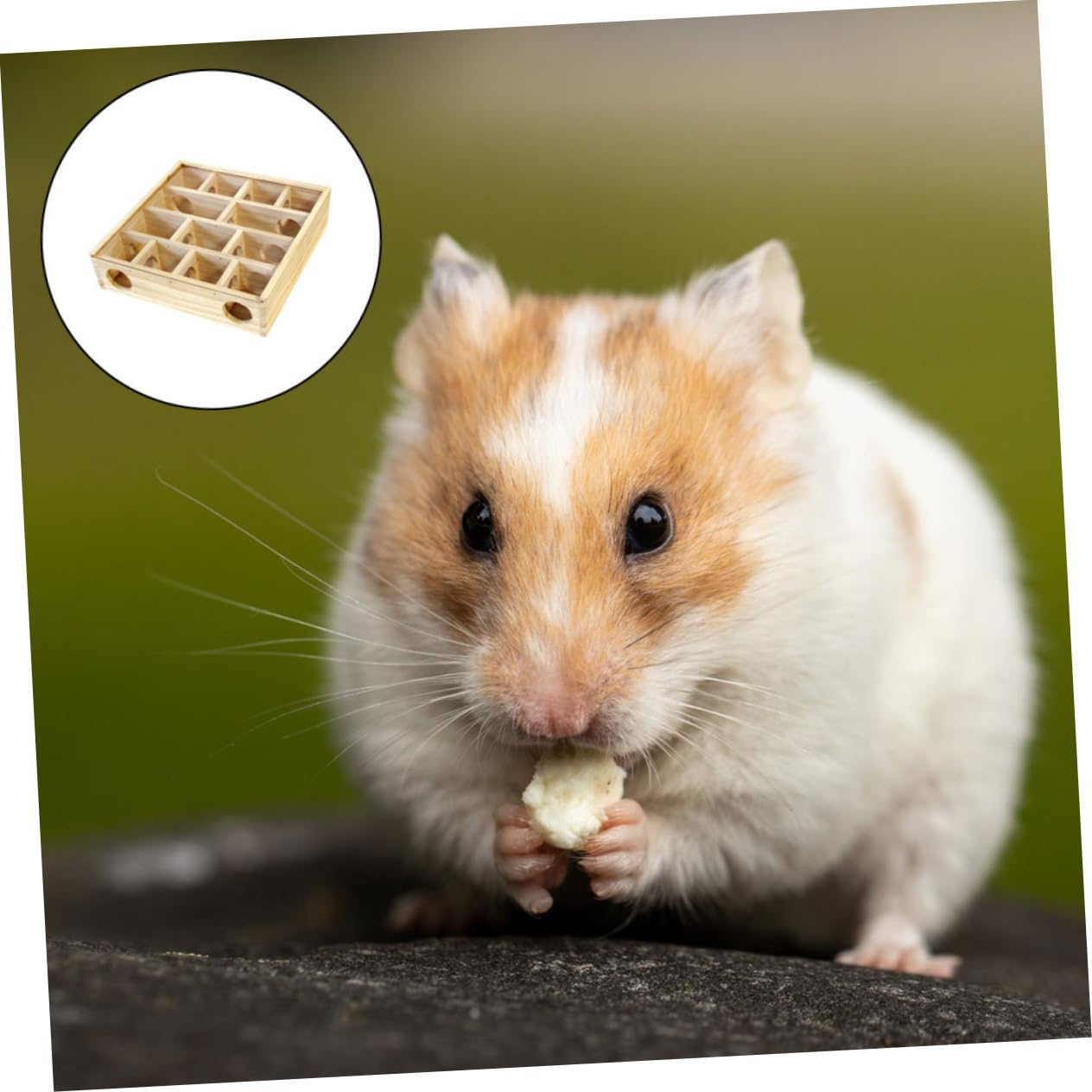 Yardwe Holz Labyrinthspielzeug für Kleintiere Mehr Stück Mäuselabyrinth in Khaki zur Beweglichkeit und Gesundem Wachstum Geeignet für Ratten und Kleine Haustiere im Haushalt