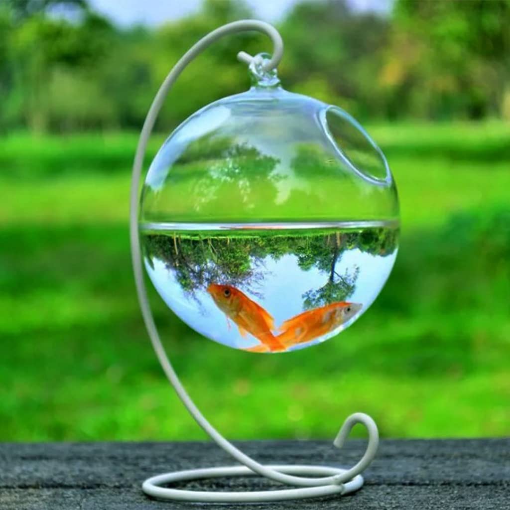Cuenco de almacenamiento, esférico de cristal hecho a mano para peces de forma redonda, colgante de cristal, pecera, terrario transparente, color blanco