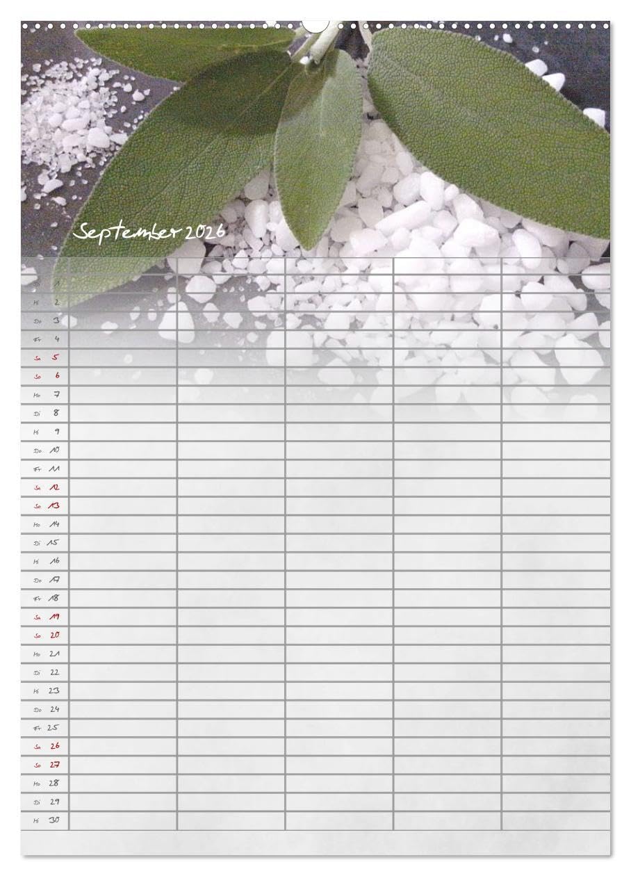 Familienplaner für die Küche. (hochwertiger Premium Wandkalender 2026 DIN A2 hoch), Kunstdruck in Hochglanz: Obst, Gemüse, Gewürze und mehr. (CALVENDO Lifestyle)