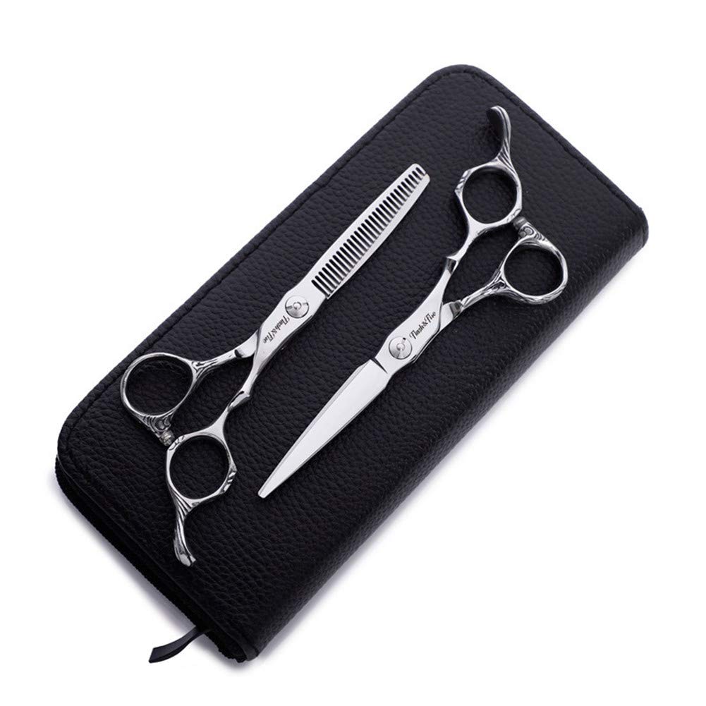 DESAV Set di forbici professionali da 15,2 cm, in acciaio inox 440C di alta qualità, resistenti e durevoli, lucidate uniformemente, facilitano il taglio parziale