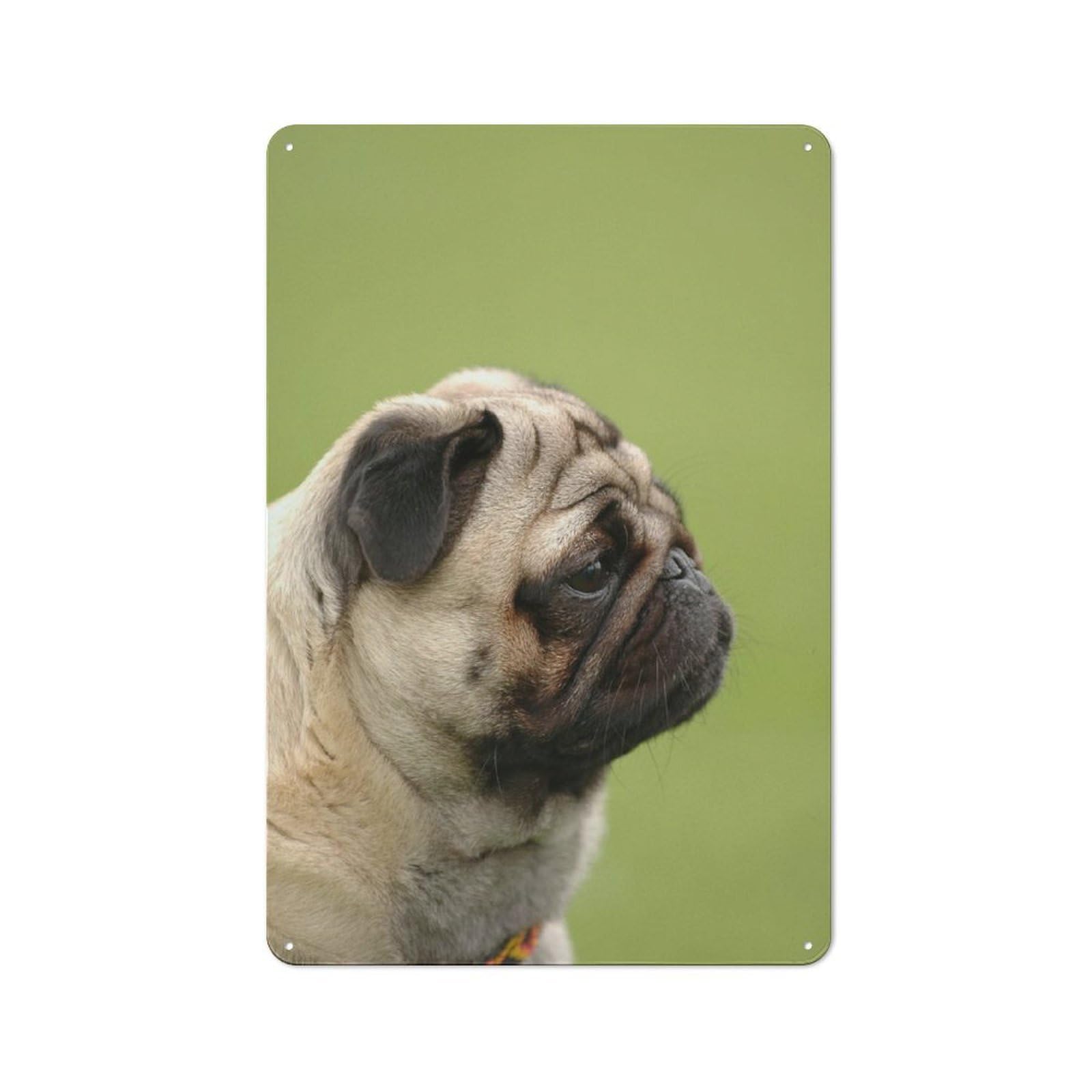 Junmoney Pug Dog Metal Sign 30X20cm With For Pub Or Café, Retro Decor, Suited To Café Interior Fans