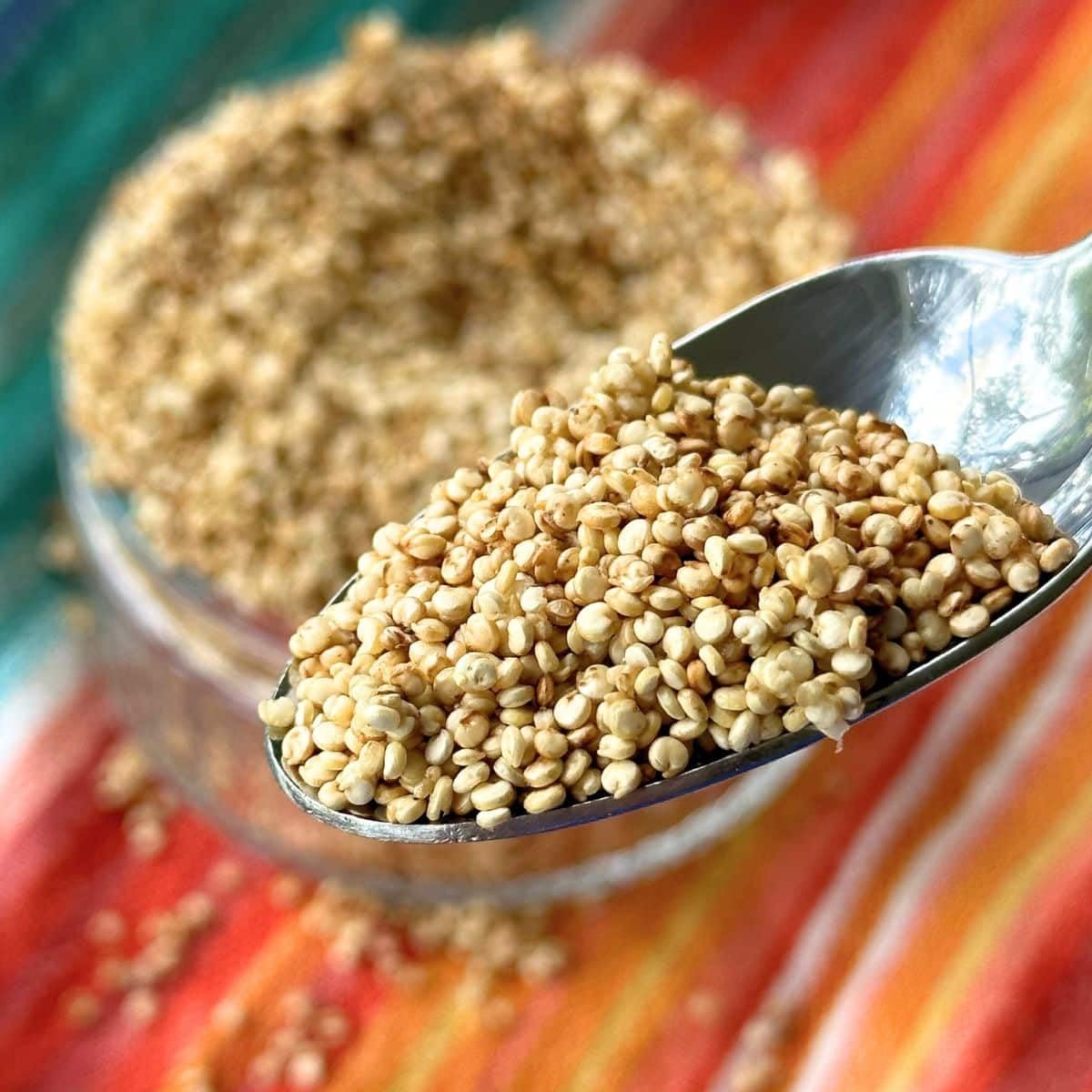 Bongiovanni Bontà Naturali Gepuffter Quinoa 15 kg BIO