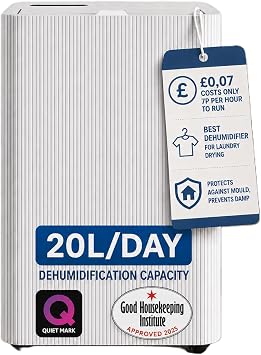 Devola 20L Dehumidifier, Low Energy Home Dehumidifier with Carbon Filter