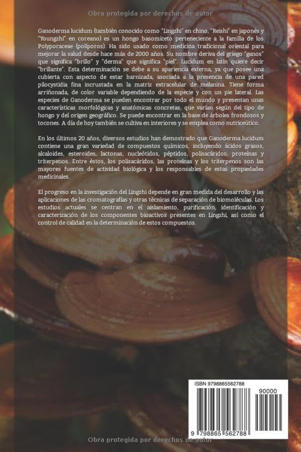 Vista 2 de Ácidos ganodéricos en el laboratorio Expectativas clínicas (Spanish Edition)