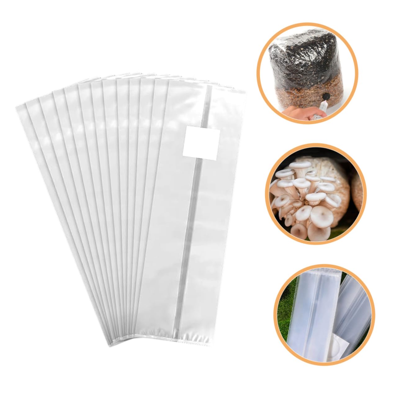 De Culture De Champignons, 50 Pièces, De Grains De Champignons, De Culture De Champignons pour Kits De Culture De Champignons Et Projets De Mycologie