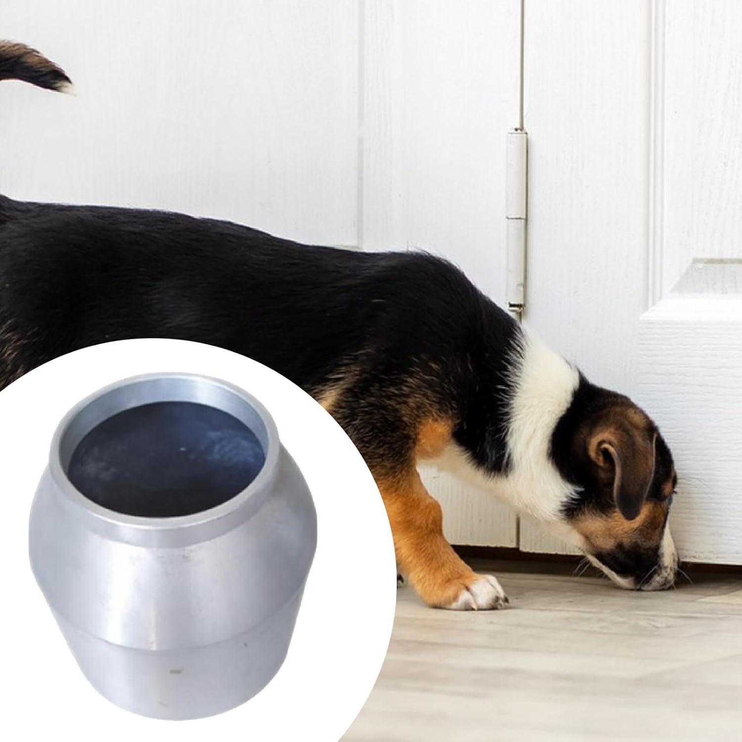 Dog Scent,Scent Work Professional Pet Supply Aluminum Dog Nose Train Container,Smell Training for Home, Pot Dia 11cm