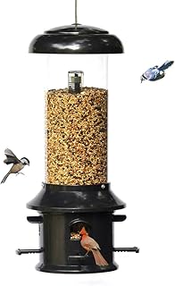 Nature's Rhythm Squirrel Proof Bird Feeder of Weather Guard 4 Classic Ports,1.5lb Seed Capacity,Wild Bird Feeder Hanging f...