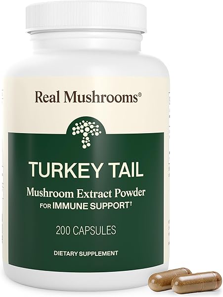 Real Mushrooms Turkey Tail Capsules – Organic Mushroom Extract for Daily Wellness, Gut Harmony, Energy Support – Vegan, Non-GMO, No Fillers – Turkey Tail Extract 200 Count Mushroom Supplement