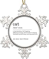Vista 1 de Adornos colgantes de árbol de Navidad con definición de gato, lindo regalo para amantes de las mascotas, nombre de definición, recuerdo