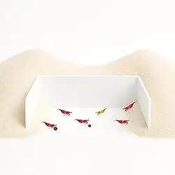 CTWPets Barreira de alimentação de aquário - Parede de retenção de substrato para camarão, caracol e pleco | Enseada inferior nua para facilitar a alimentação e limpeza (branca)