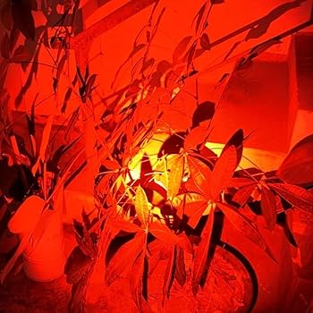 Snap-on 懐中電灯 赤 約20cm ecf925cr.jpg