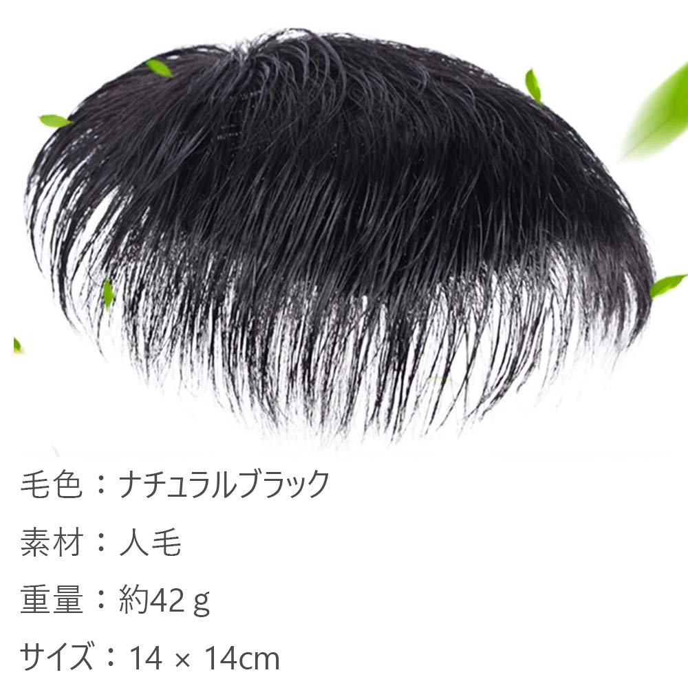 60才～つむじ 伝わっ ちょっとだけ 男性かつら 天辺 部分かつら 