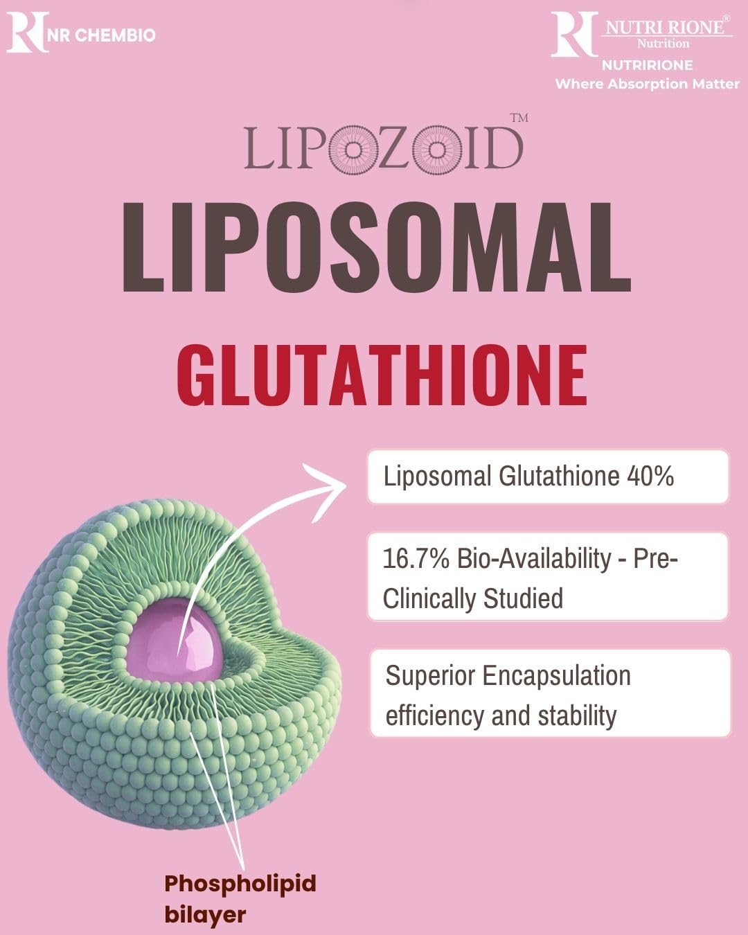 Nutri Rione Liposomal Glutathione  Encapsulated Technology for Enhanced  Bioavailability | Antioxidant Support (30 CAPSULES) : Amazon.in: Health &  Personal Care