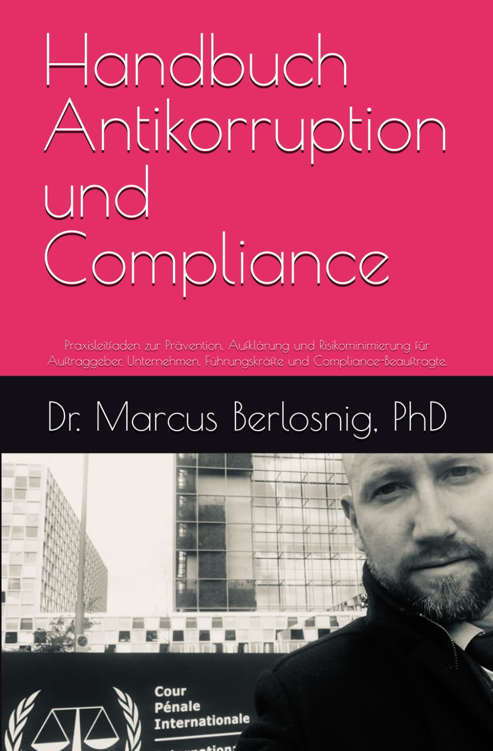 Handbuch Antikorruption und Compliance: Praxisleitfaden zur Prävention, Aufklärung und Risikominimierung für Auftraggeber, Unternehmen, Führungskräfte und Compliance-Beauftragte.