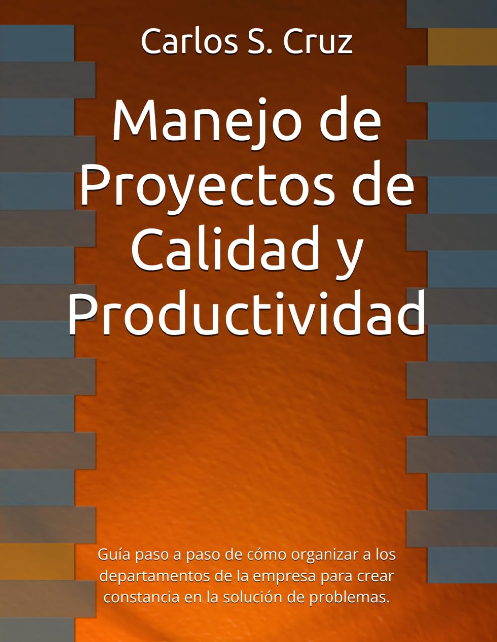 Manejo de Proyectos de Calidad y Productividad: Guía paso a paso de cómo organizar a los departamentos de la empresa para crear constancia en la ... (Apuntes Básicos Administración de la Mejora)
