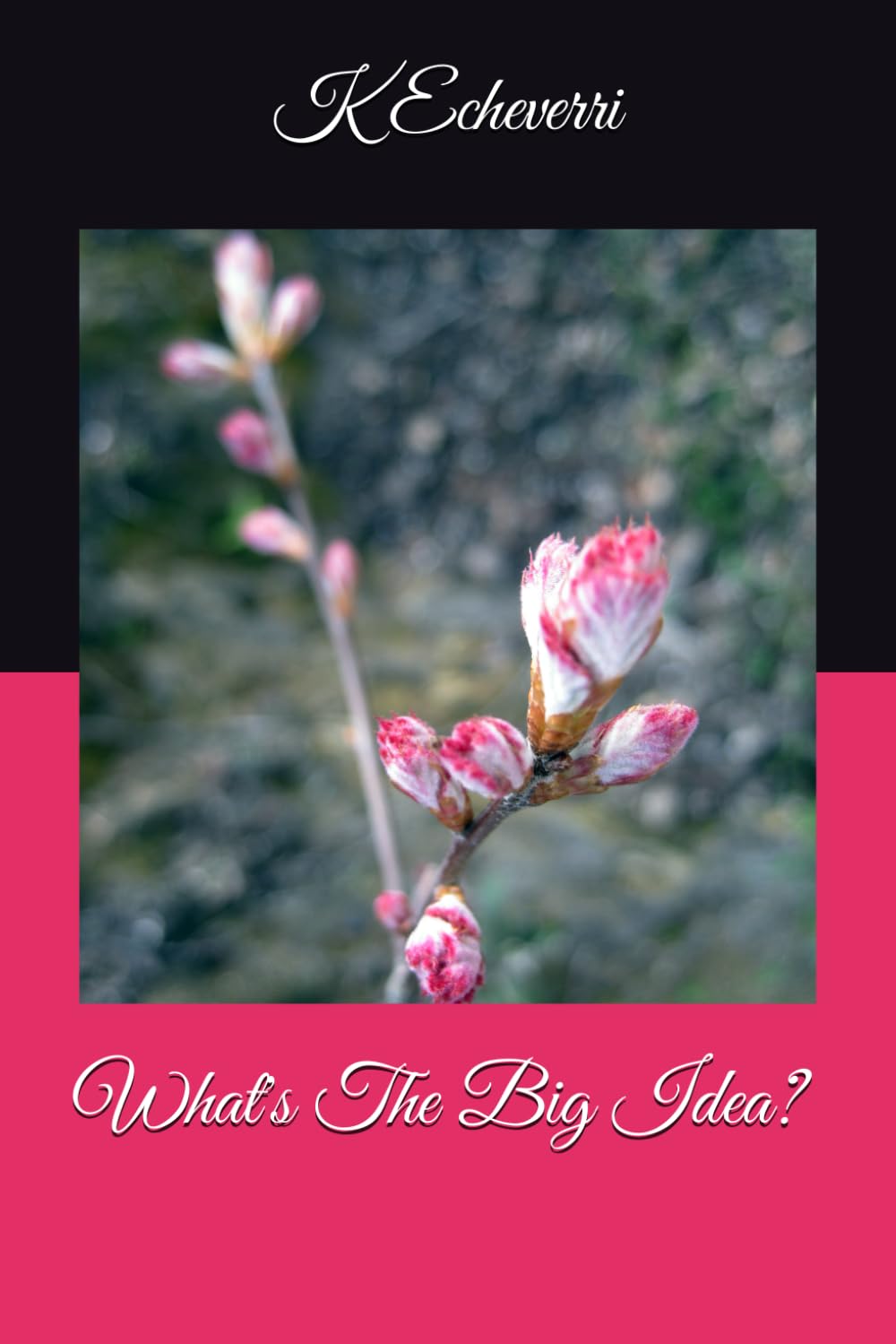 What's The Big Idea?