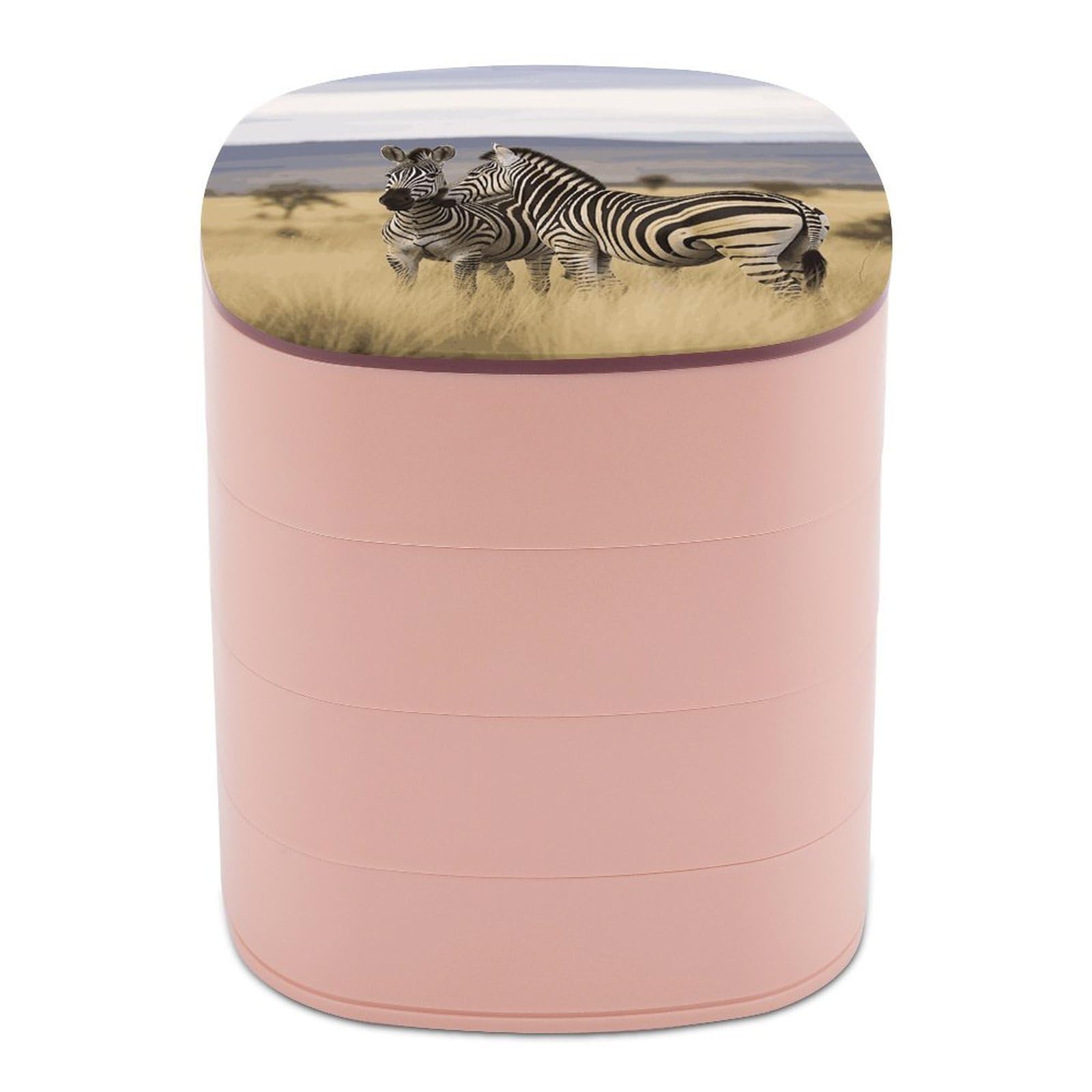 FekiLoot Rotating Zebras on South Africa Jewelry Box Large Capacity Jewelry Organizer with Mirror 4 Tier Hoop Ring And Earring Holder With Lid Small Travel Jewelry Case for Women