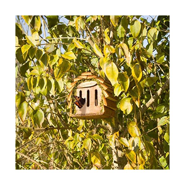 GARDIGO® Schmetterlingshaus zur Schmetterlingszucht und Gartendeko I Insektenhaus für Schmetterling zum Aufhängen – Bild 3