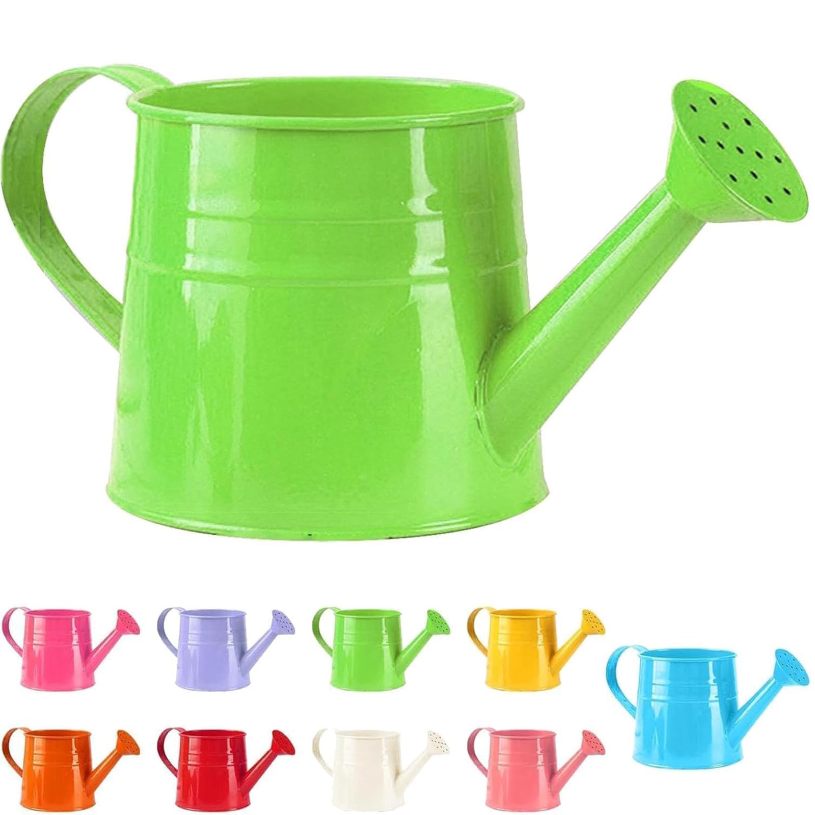 Metal Watering Can, 1L Watering Can for Indoor Houseplants, Vintage Garden Watering Can with Rose, Rustproof Galvanised Small Sprinkler for Flowers, Balcony (D)