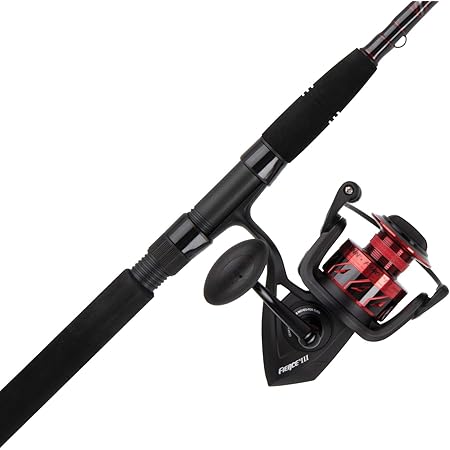 penn fierce 2 combo saltwater