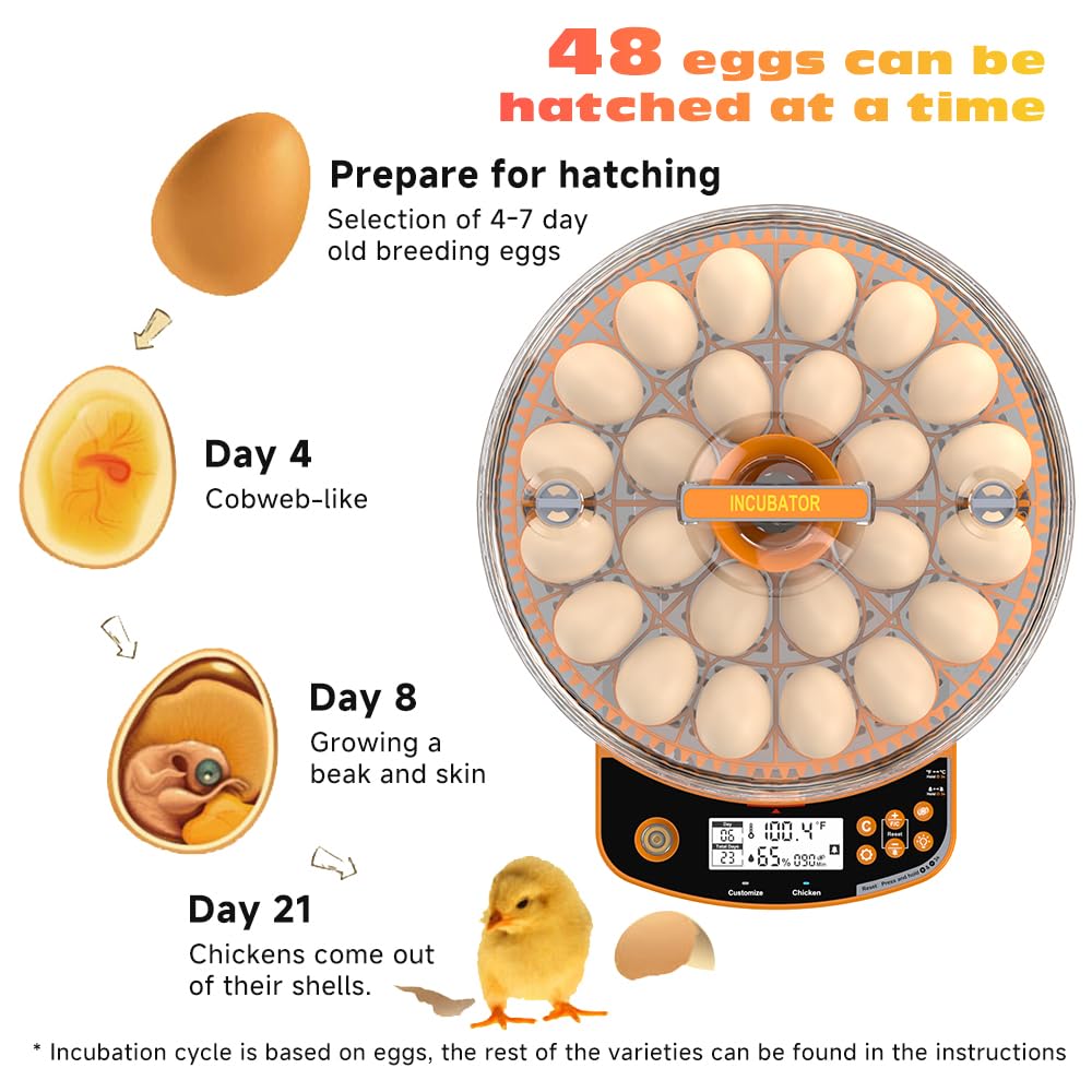 Incubatrice per uova di gallina, incubatrice automatica per uova di gallina, con serbatoio d'acqua integrato, rotazione automatica a 360°, candela per uova a LED, allarme temperatura e umidità