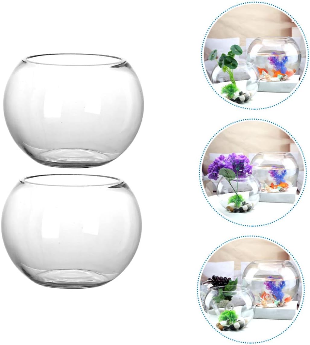 Garneck 2Pcs Glass Terrarium Hydroponic Container for Indoor Plants Round Micro Landscape Bottle for Home Decoration Succulent and Moss Display Compact and Lightweight Design