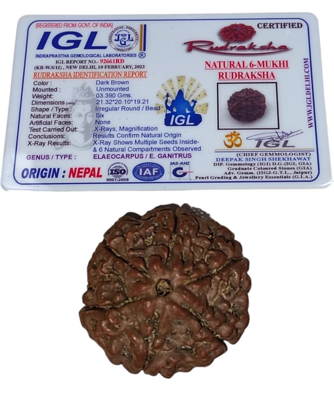 Six Faces Rudraksha Original Certified with IGL / 6 Mukhi Nepali Rudraksha | for Unisex | by Shree Rudraksham | Ruthratcham | (B0BXDRB2XZ) Amazon Price History, Amazon Price Tracker