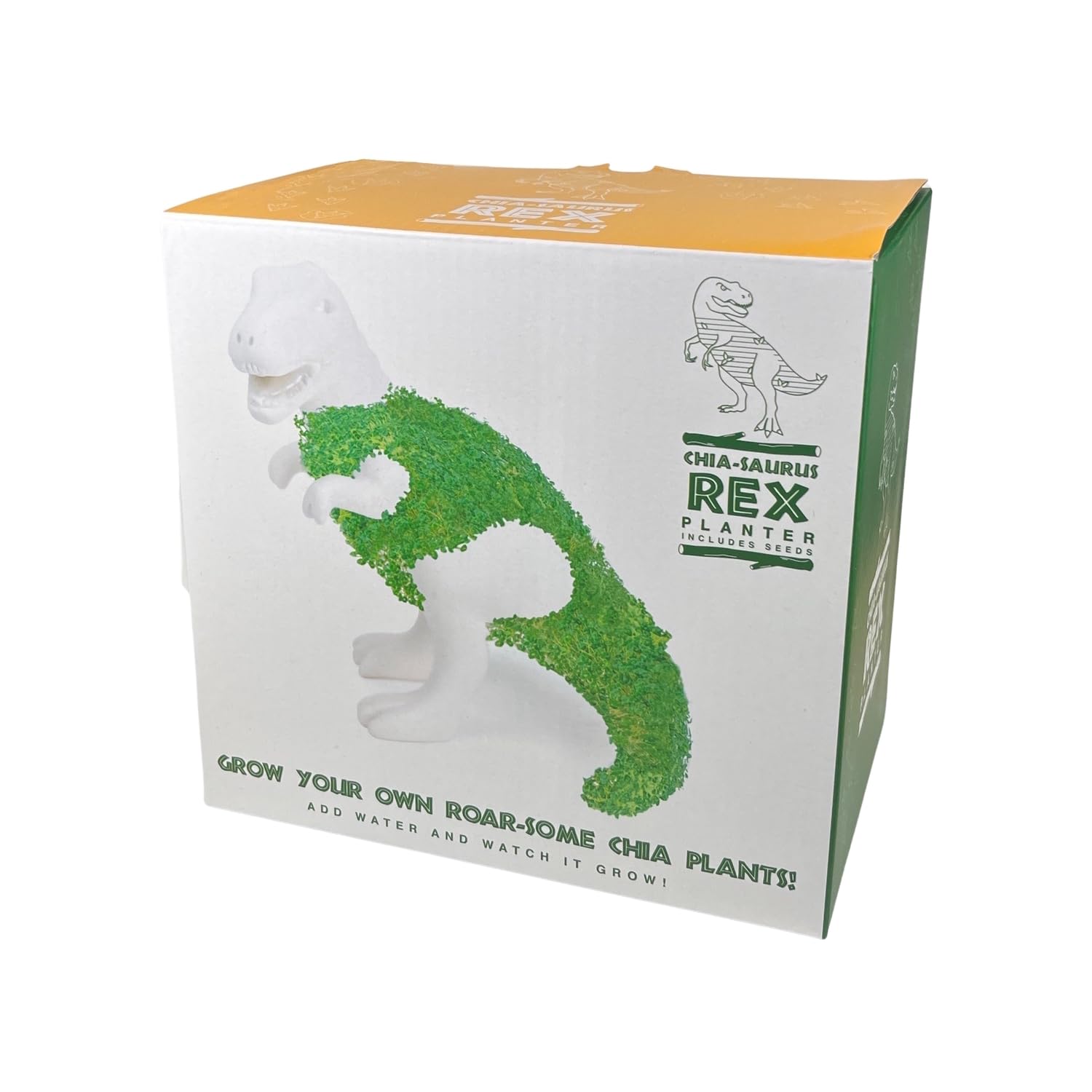 GR Gift Republic T-Rex Dino Blumentopf mit Chia Samen