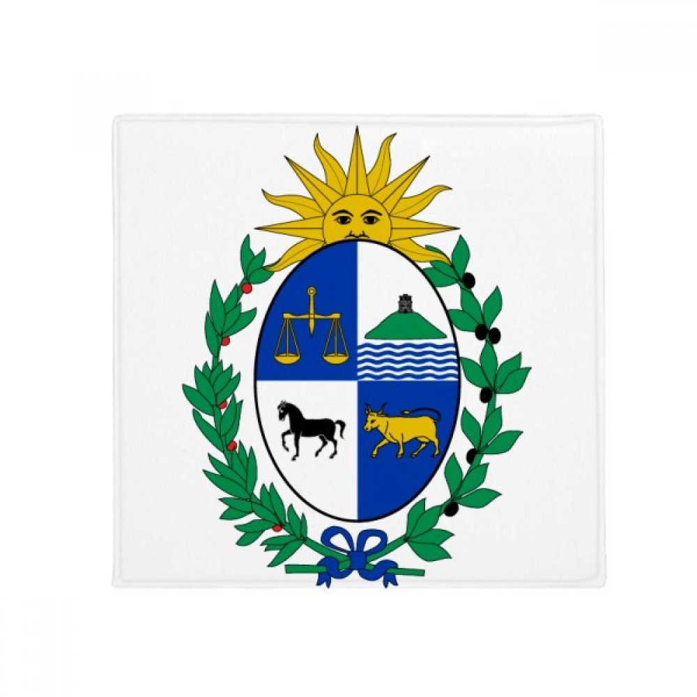 Tapis de sol Uruguay antidérapant 50x50 cm multicolore pour animaux et maison