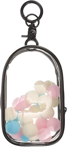 Alasum 1 juego de bolsa de exhibición transparente con llavero portátil pequeña bolsa de almacenamiento de muñecas vitrinas con cierre de cremallera