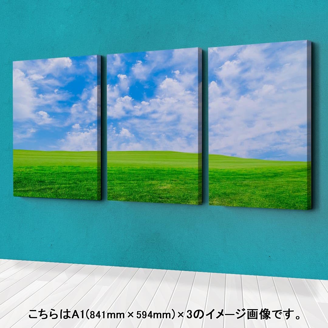 青空絵画3点 Amazon.co.jp: アートパネル 3連 3枚セット 絵 絵画 飾り igsticker